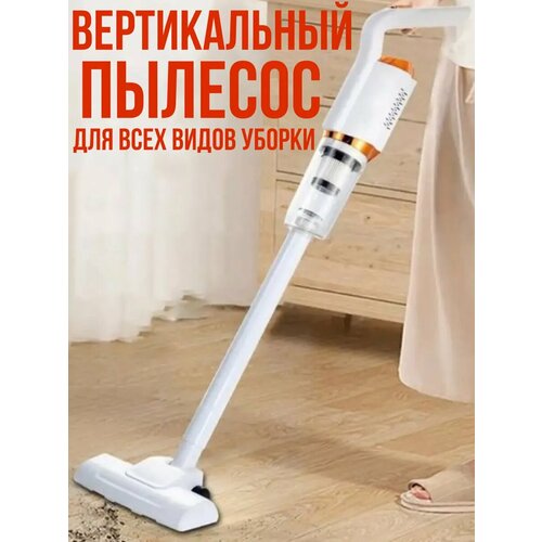 Пылесос вертикальный для дома