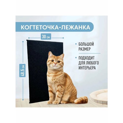 Когтеточка для кошек 48*30 см