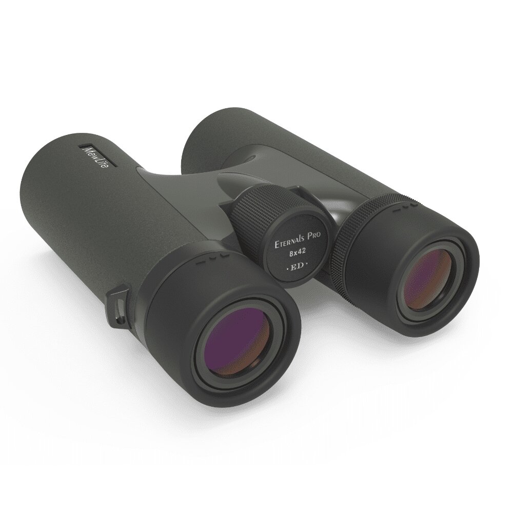 Бинокль Mewlite Eternals Pro 8X42 Ed Roof — фото 1