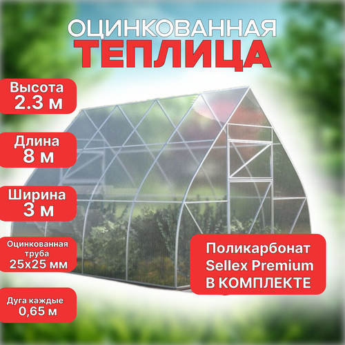 Sellex Premium
