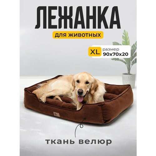 Лежанка для Кошек и Собак Большая с Бортиками и Подушкой