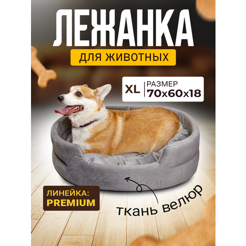 Лежак для Собак и Кошек Средних, Велюр