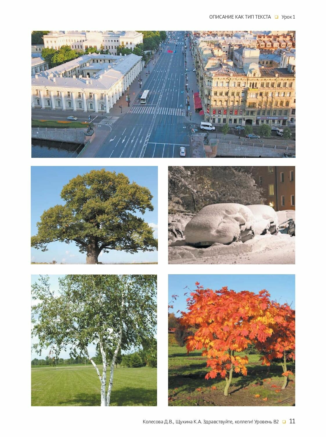 Здравствуйте коллеги Учебное пособие по русскому языку для иностранных учащихся B2-C1 - фото №7