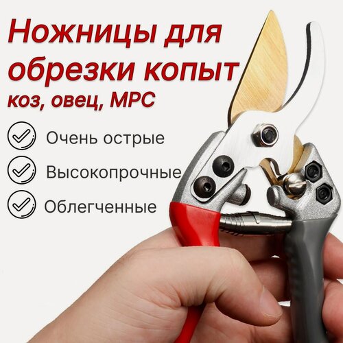 Изображение товара Ножницы для обрезки копыт коз, овец, МРС