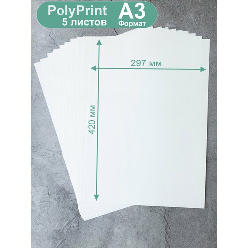фото Polyprint полипропилен листовой белый 0,3 мм. формат а3, 5 листов. pitercard