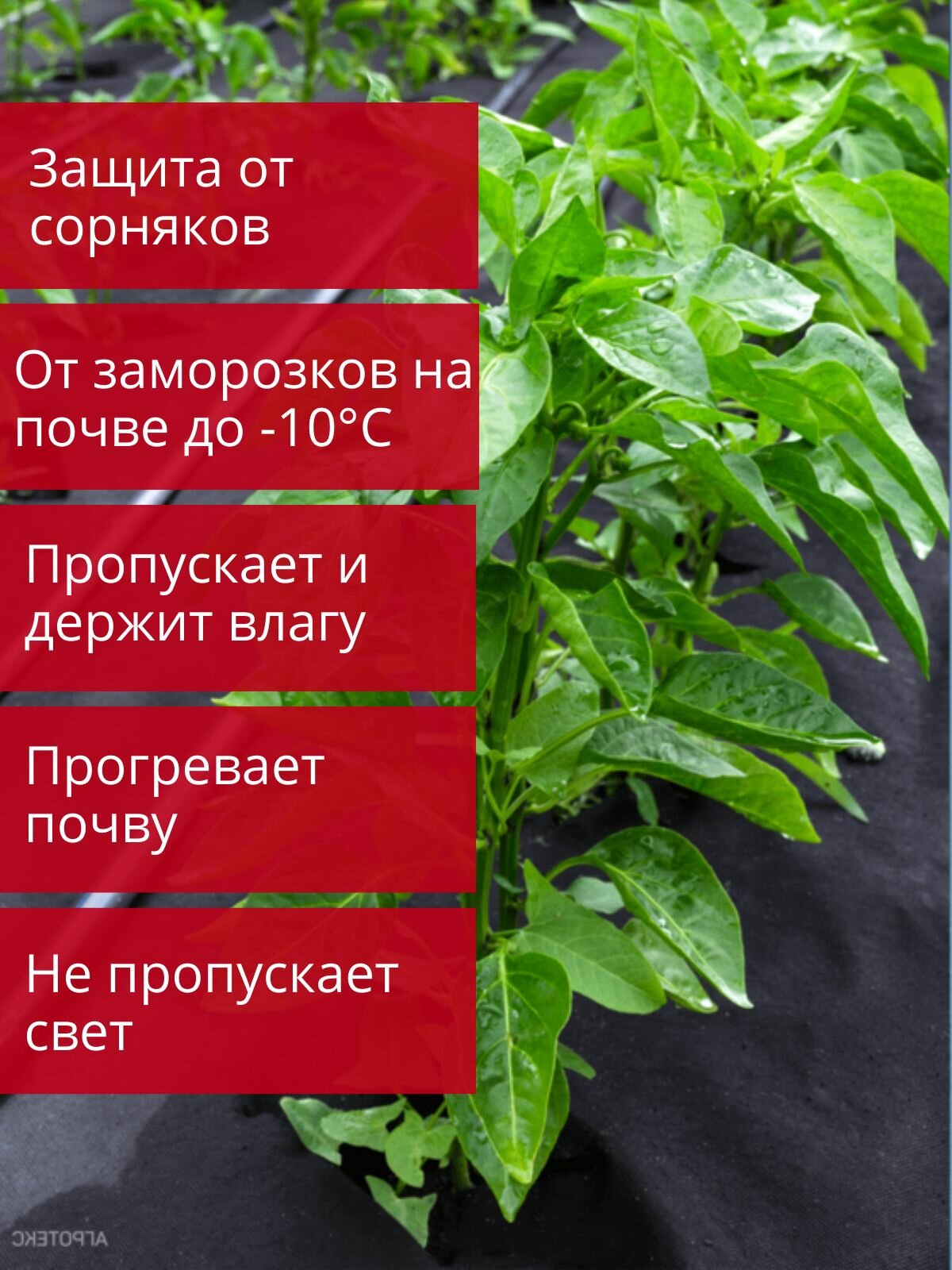 Укрывной материал с УФ Агротекс чёрный универсальный 80 г/м2, 3,2 х 10 м — фото 1