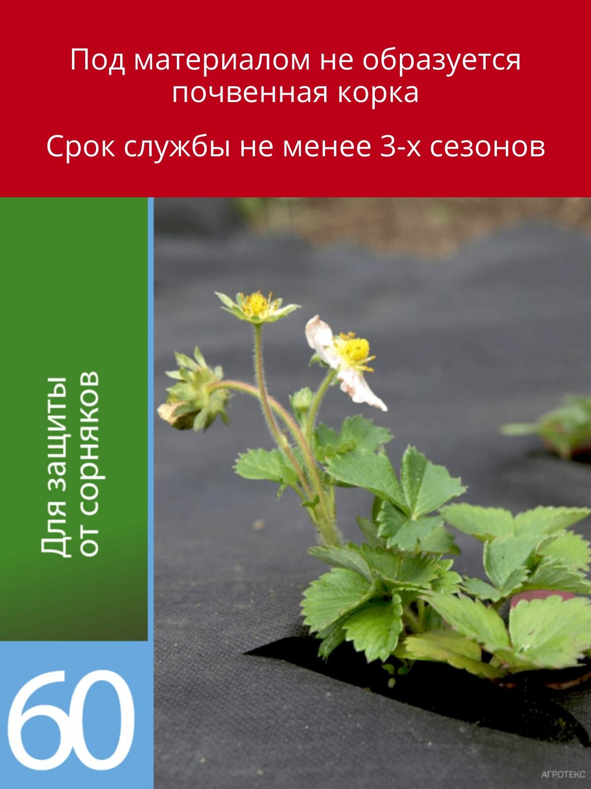 Укрывной материал с УФ Агротекс чёрный универсальный 60 г/м2, 1,6 х 10 м — фото 1