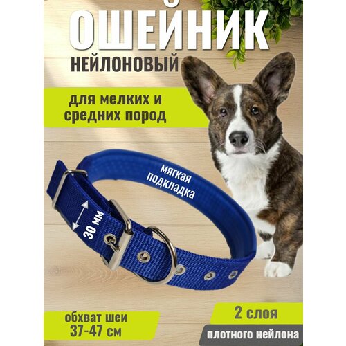 Ошейник для собак средних и мелких пород 30мм синий