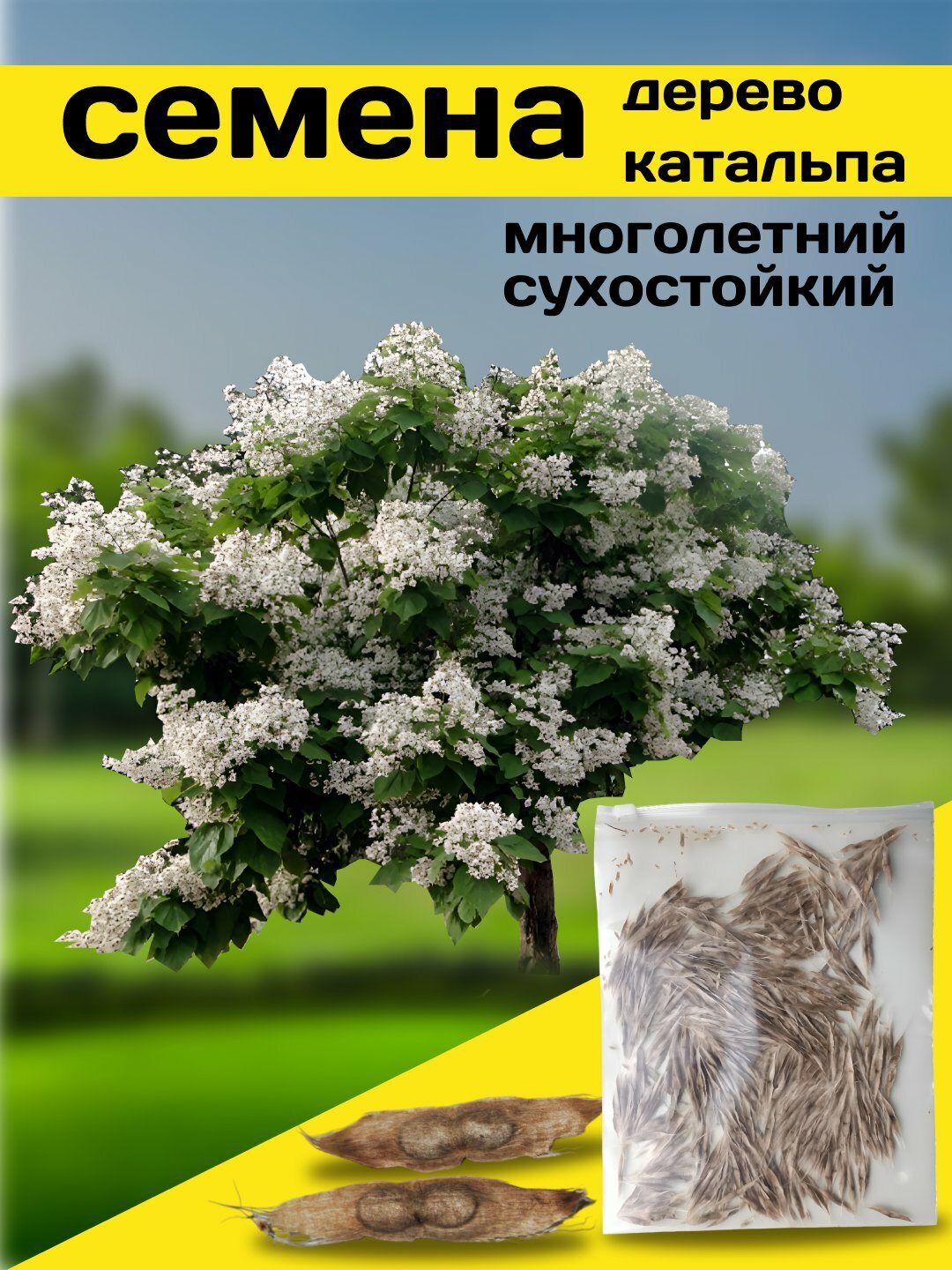 Семена Катальпы "Озимый", декоративные, многолетние, цветение в июле