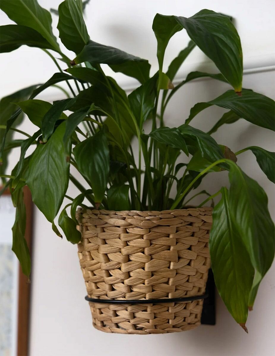 Подставка настенная Круг большой на 1 цветок / 2шт