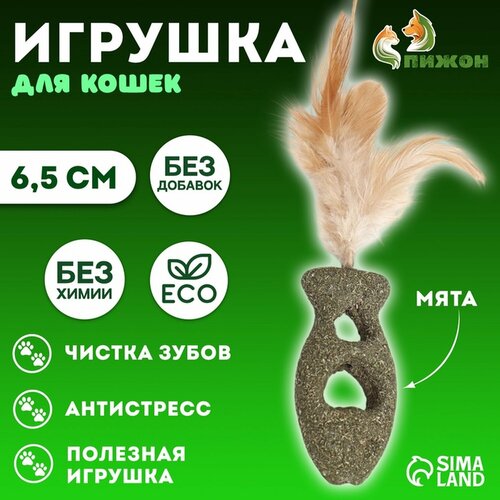 Игрушка для кошек из прессованной кошачьей мяты "Ажурная рыба", 6,5 см 9346437