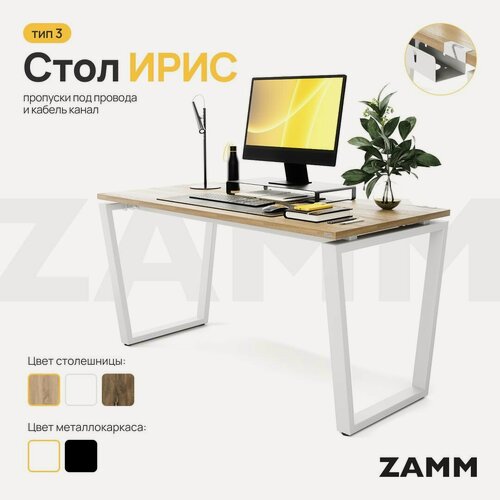Изображение товара ZAMM Компьютерный стол Лофт, Письменный стол Ирис (Тип 3) с пропусками для проводов и кабель-каналом 100х70х75