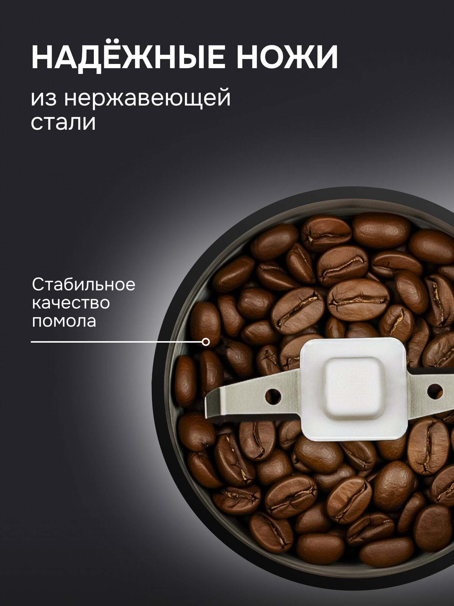 Кофемолка электрическая Zigmund & Shtain ZCG-01, ротационная, стальной — фото 1