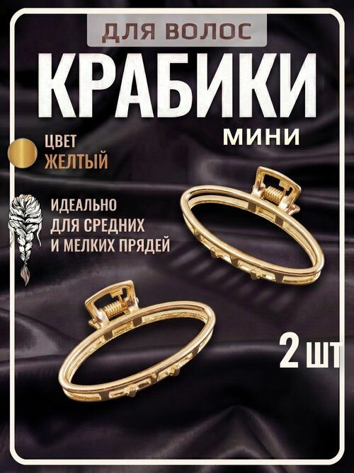 Крабики для волос маленькие набор 2 шт