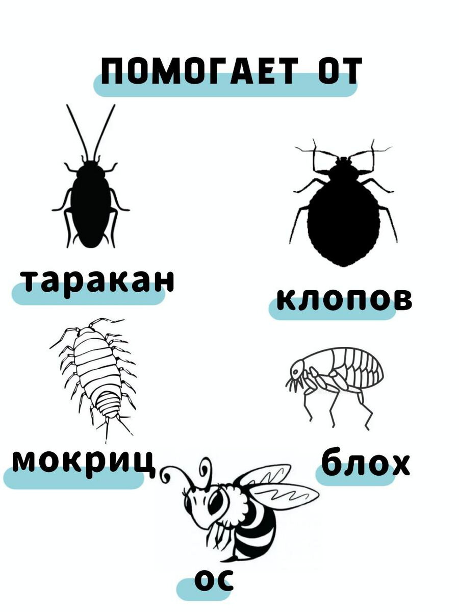 Средство от тараканов, клопов, муравьев, отрава против насекомых "Гидра", 20 мл — фото 1