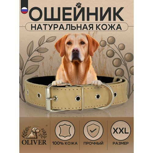 Ошейник для собак Oliver из натуральной кожи на мягкой подкладке из синтепона / XXL / Бежевый