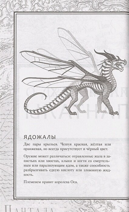 Драконья сага. Затерянные земли — фото 1