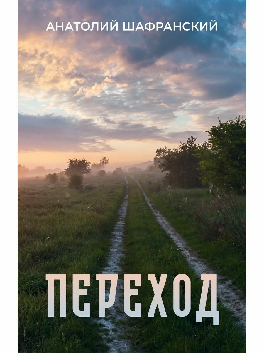 Книга Делибри Переход. 2025 год, А. Шафранский