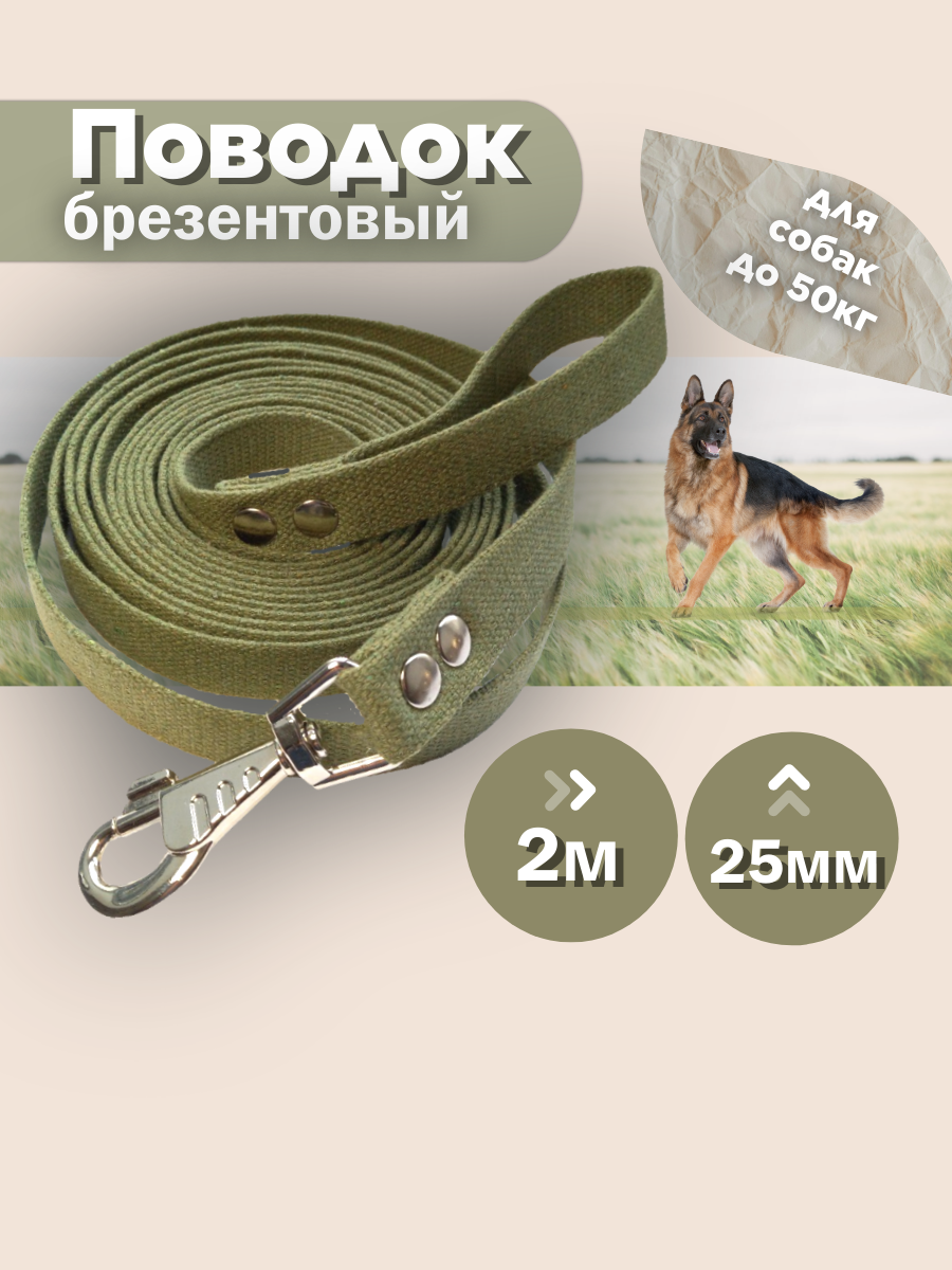 Поводок брезентовый 2 метра 25 мм для крупных и средних собак (зеленый)