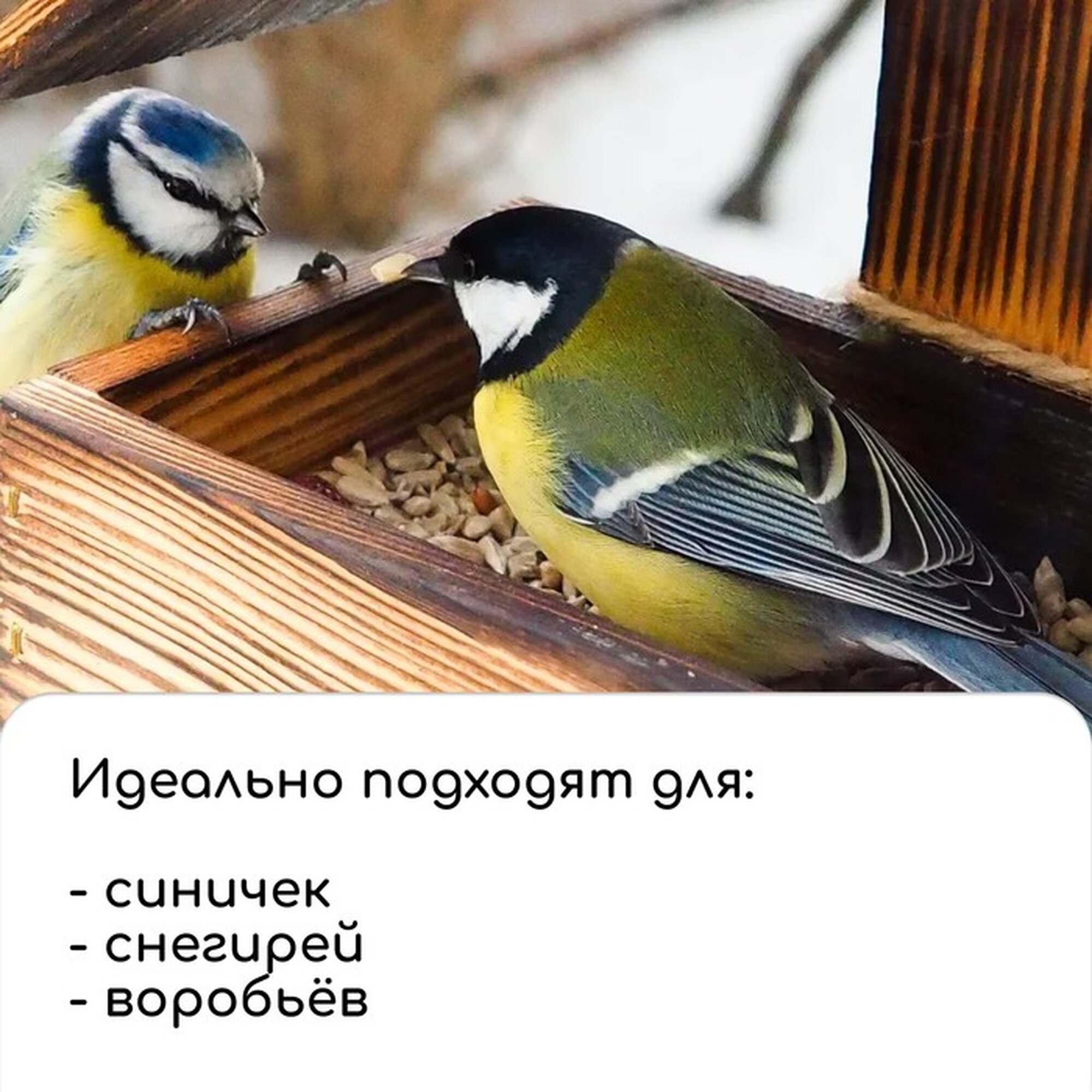 Деревянная кормушка своими руками для птиц «Комплект-А», 14 × 17.5 × 19 см, Greengo — фото 1