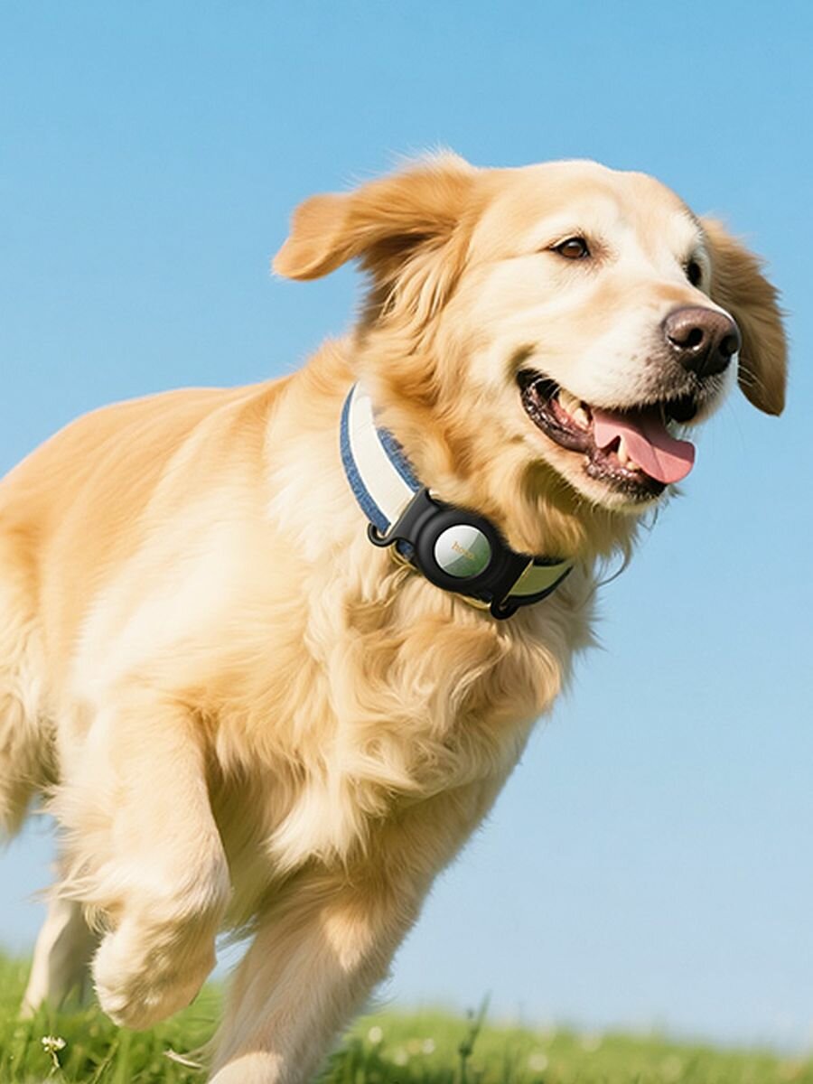 Изображение GPS трекер для животных на ошейник, airtag