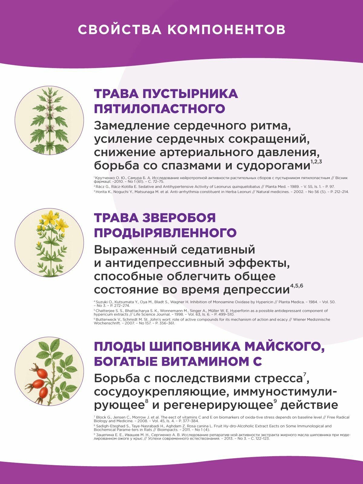 Изображение Пустырник Магний B6 Форте, успокоительное для нервной системы, для нормализации сна БАД от бессонницы, стресса, набор 2 шт. Naturalis аптека асна