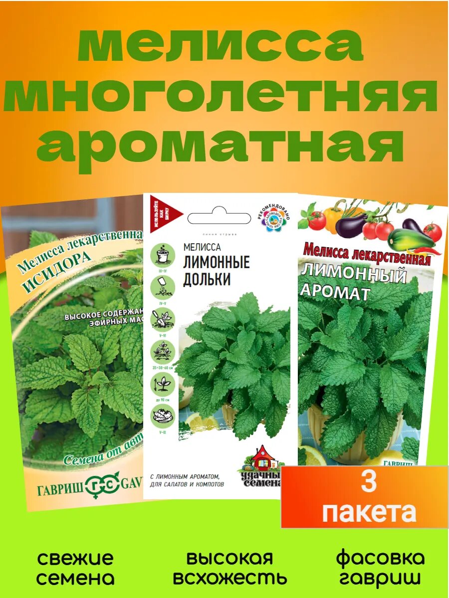 Мелисса многолетняя ароматная семена 3 пакета по 01 г