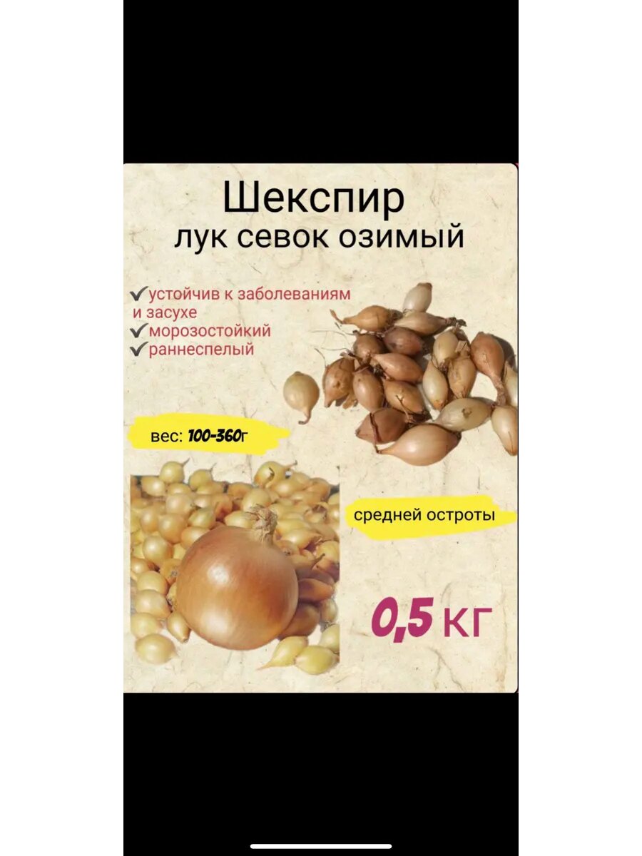 Лук севок Шекспир