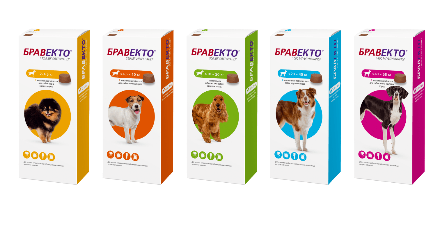 MSD Animal Health таблетки от блох и клещей Бравекто таблетки для очень крупных пород для собак от 40 до 56 кг 1 шт. в уп., 1 уп. — фото 1