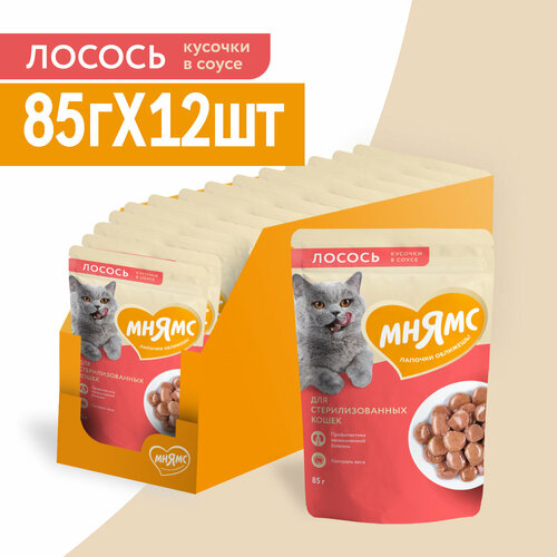 Влажный корм Мнямс Кусочки в соусе с лососем для стерилизованных кошек, 12 шт х 85 гр