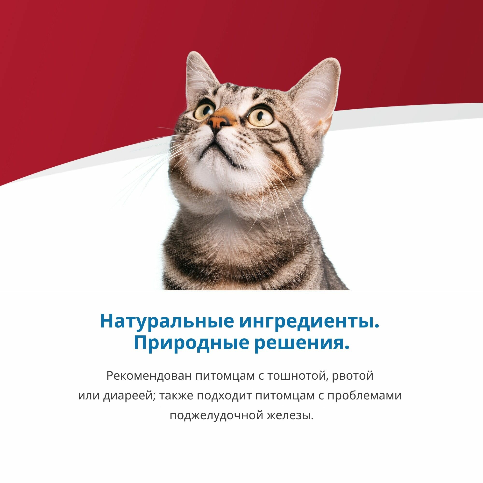 Сухой диетический корм для кошек Farmina Vet Life GastroIntestinal с нарушениями процессов переваривания и всасывания в кишечнике, 2 кг — фото 1