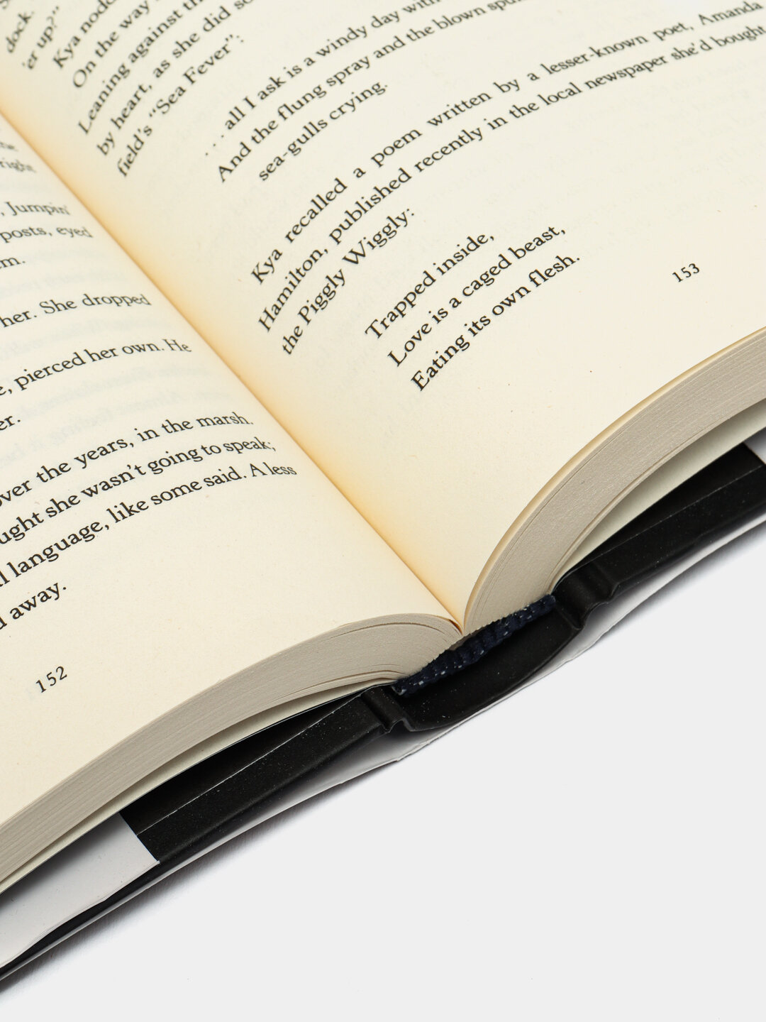 Книга "Where the Crawdads Sing", Delia Owens, Оригинал, A5, твердый переплет, 370 стр — фото 1