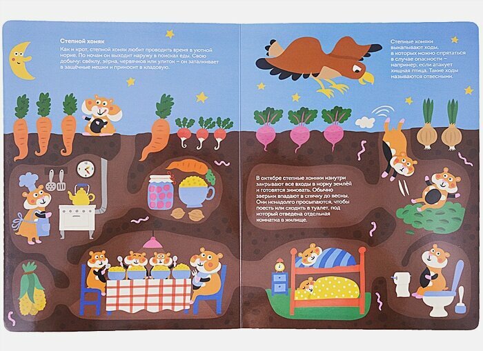 Кто живет под землей. Виммельбух — фото 1