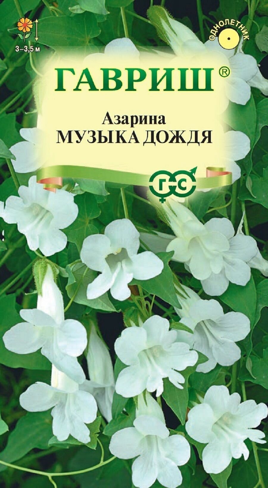Азарина Музыка дождя 5 семян / Гавриш