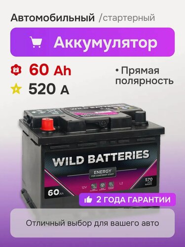 Изображение товара Аккумулятор автомобильный 60 Ач 570 A прямая полярность