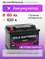 Аккумулятор автомобильный WILD Batteries 60 Ач 520 A прямая полярность