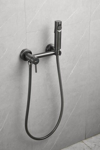 Изображение товара Смеситель с гигиеническим душем цвет серый, латунный Belz B55803-3