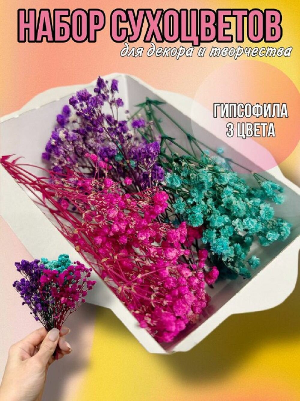 Сухоцветы для декора и творчества набор гипсофилы