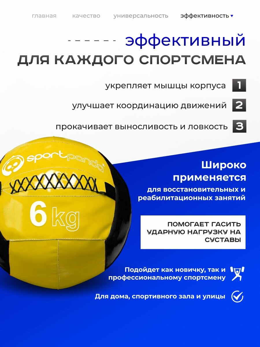 Медбол SportPanda, ПВХ, диаметр 38 см, 6 кг, армированные швы — фото 1