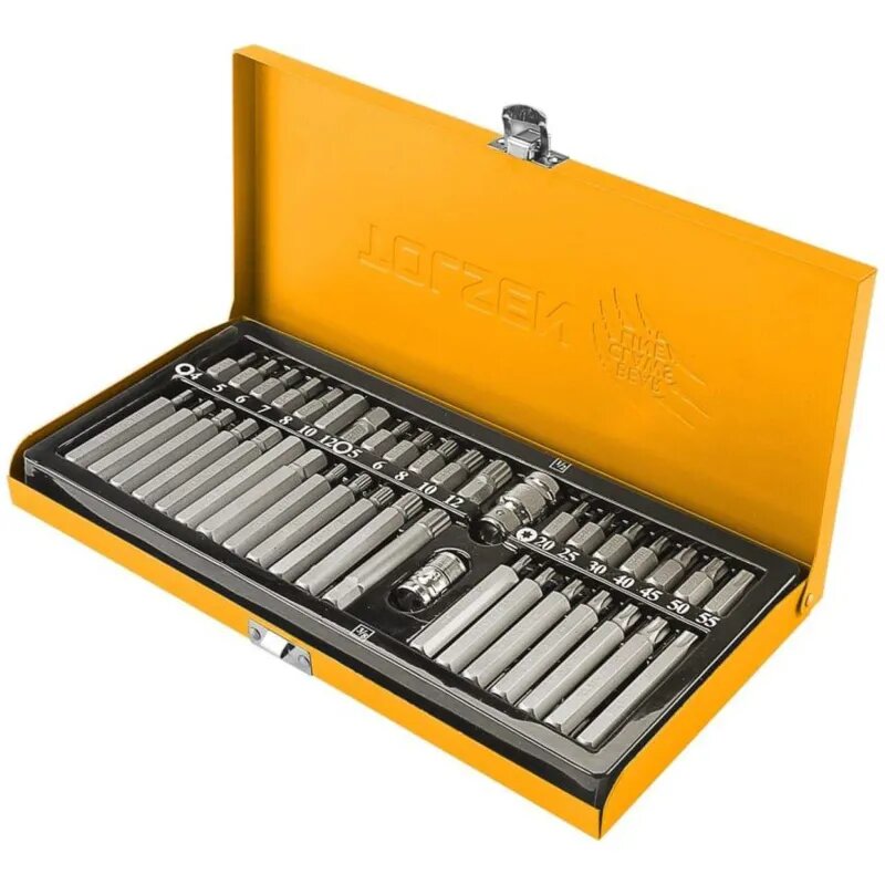 Набор бит 10 мм Torx Spline Hex 40 предметов TOLSEN