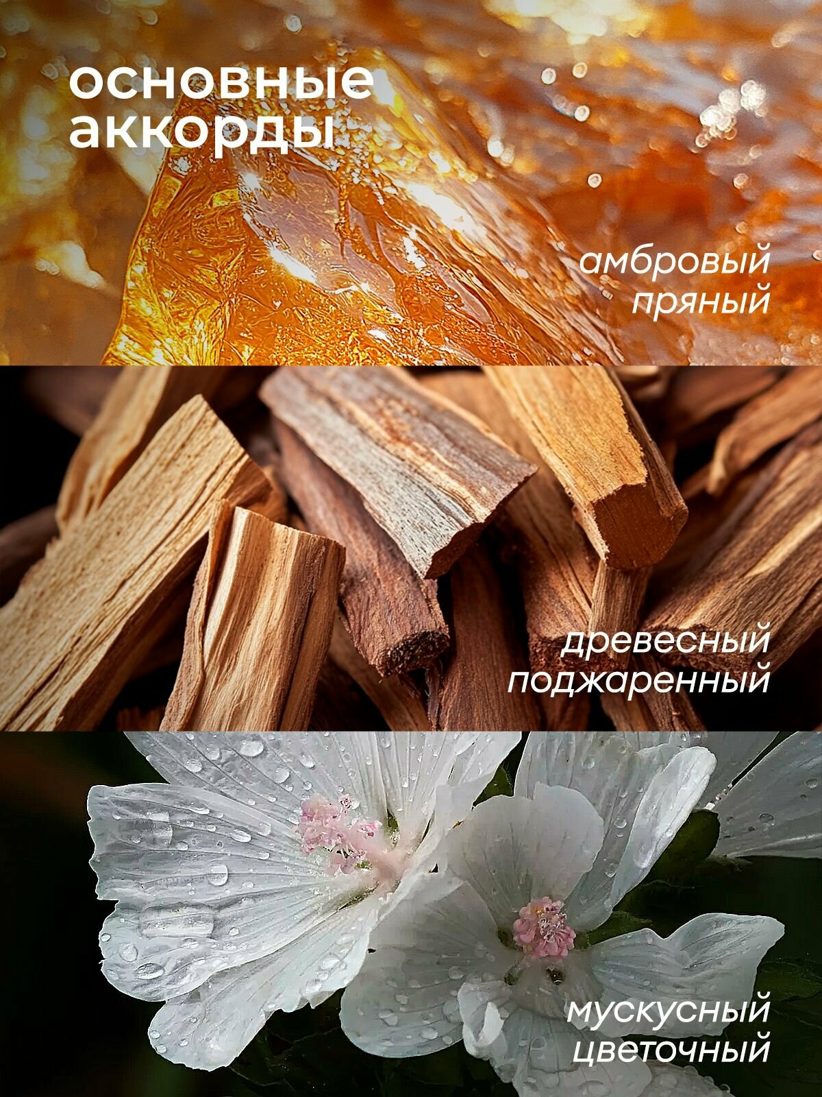 Набор жидкое мыло для рук парфюмированное GRASS Milana Oud Rood & Milana Spring Bloom 2 шт. — фото 1