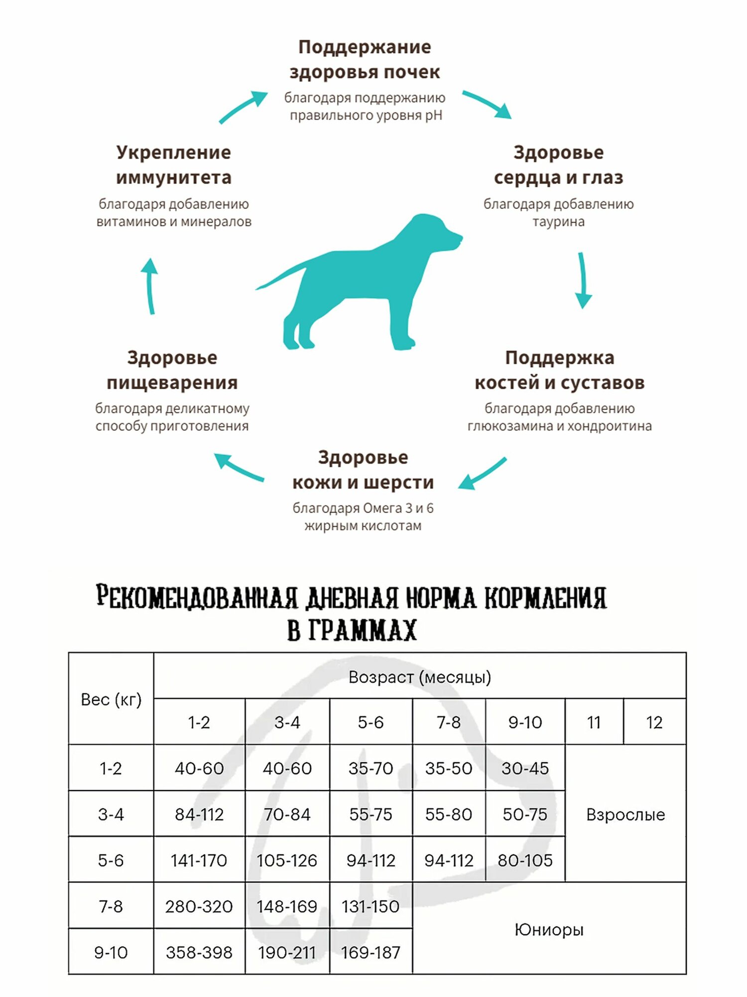 Корм сухой GRANDORF (Junior) Ягнёнок с индейкой 10 кг. Для юниоров в возрасте от 4 месяцев, беременных и кормящих . — фото 1
