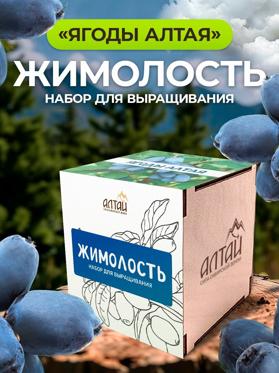 Набор для выращивания растений Сад на окне 