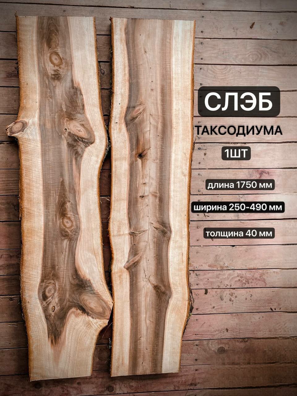 Слэб Таксодиума 1750х250-490х40мм 1шт