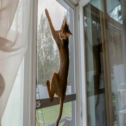 Изображение товара Москитная сетка Антикошка (Pet Screen) 1600мм х 800мм чёрная/серебро