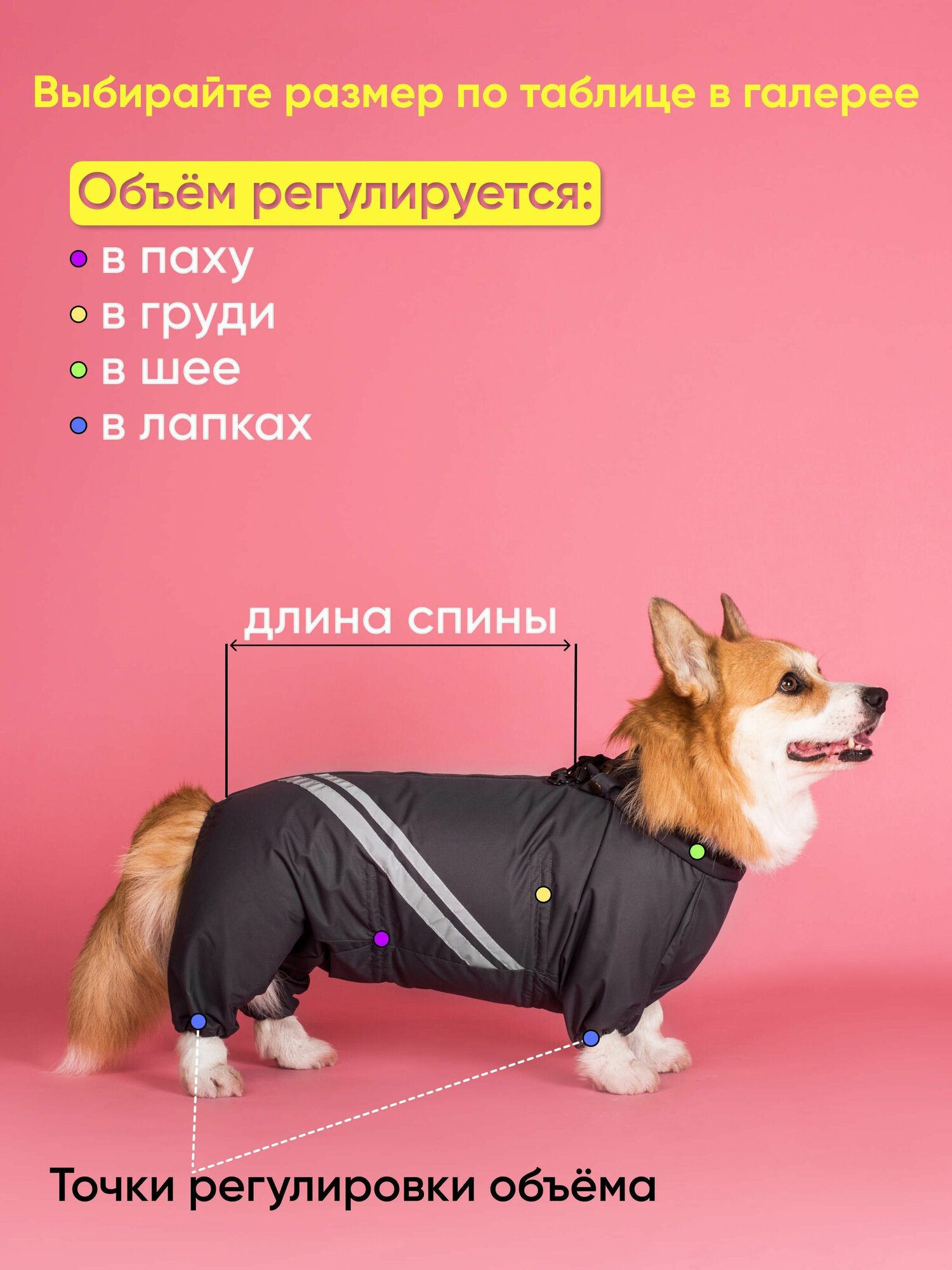 Грязезащитный комбинезон DiploDog для Корги (девочка), Одежда для Корги (девочка) — фото 1