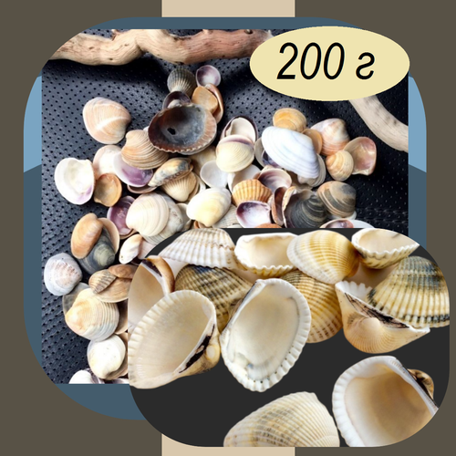 Ракушки морские для аквариума , микс грунт для террариума 200 г