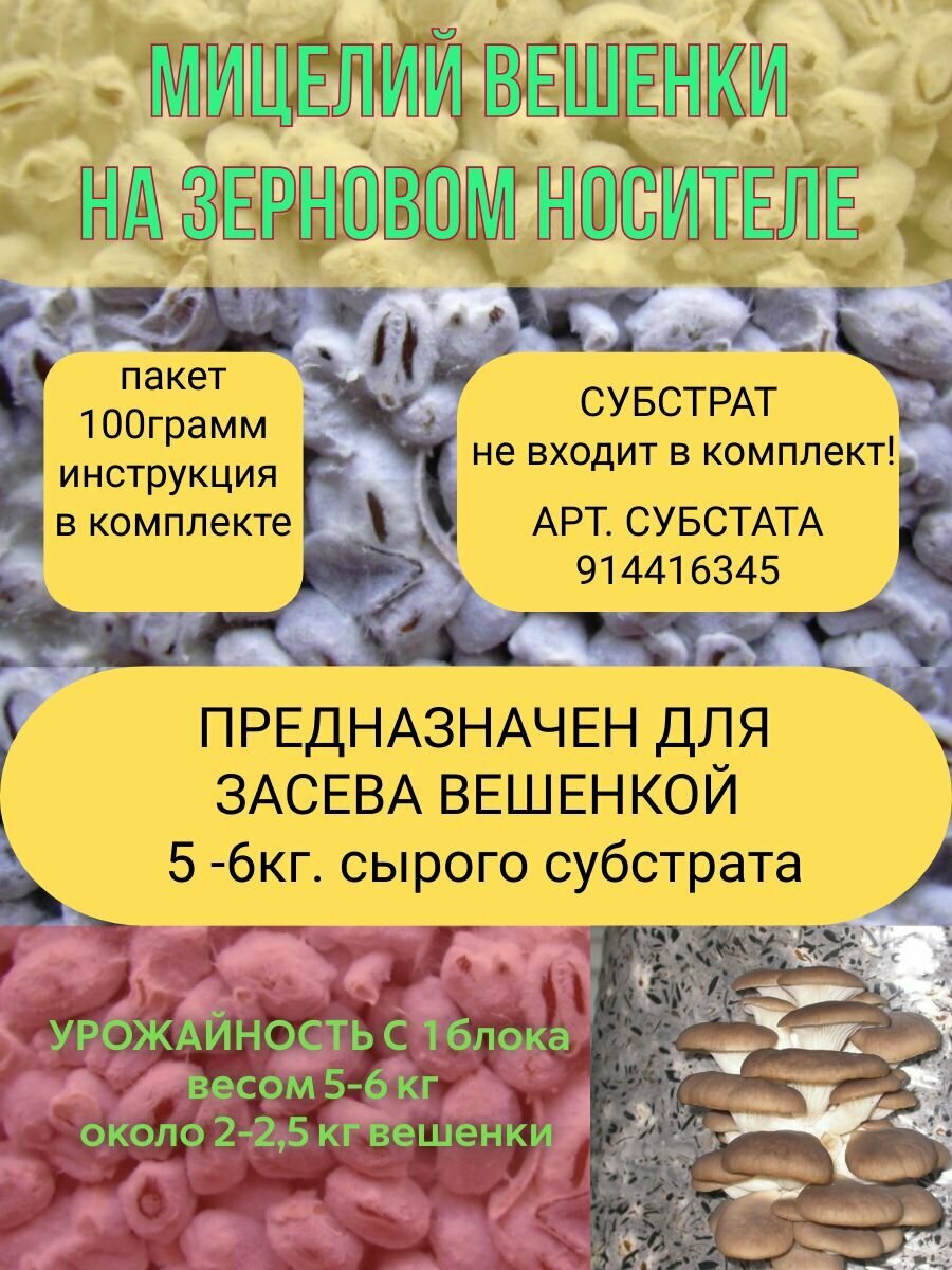 Мицелий вешенки 100г. Высокоурожайный штамм. Свежий. Отправка в день заказа.