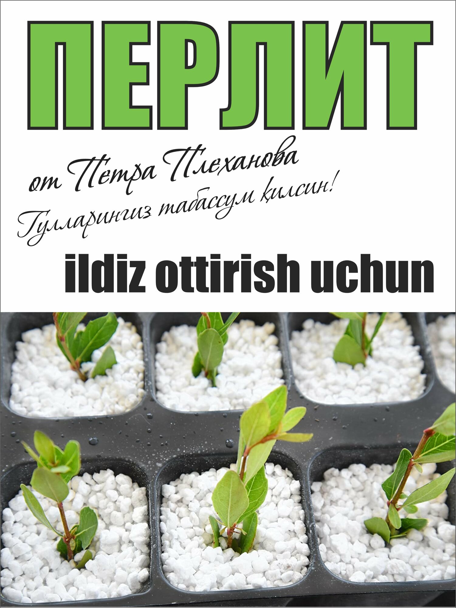 Агро перлит от Плеханова Петра — фото 1