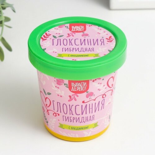 Подарочный набор для выращивания растений 